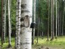 GSM – фотоловушка KUBIK, Bluetooth. 